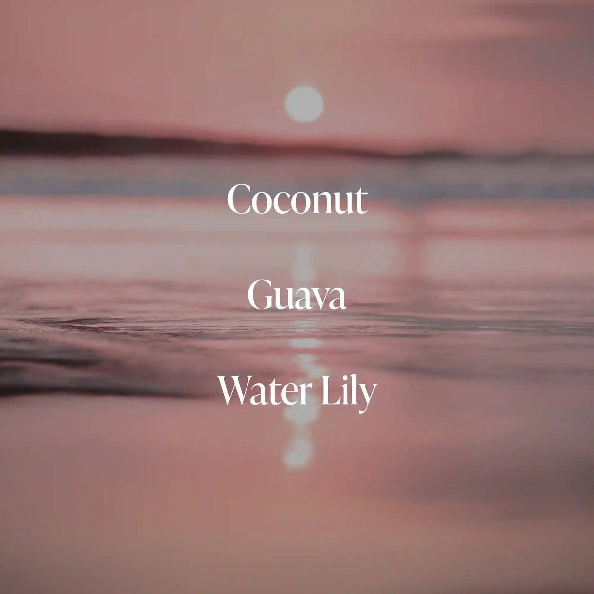 Coral Coast - Plump Skin Duo