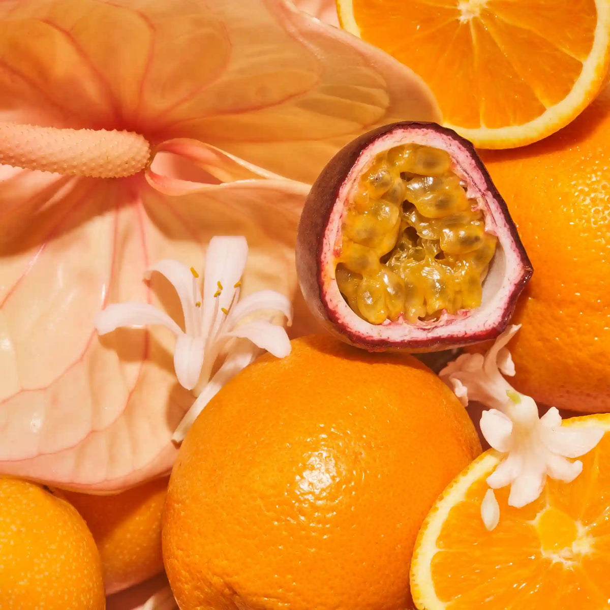 Exotic Pulp - Body Lotion