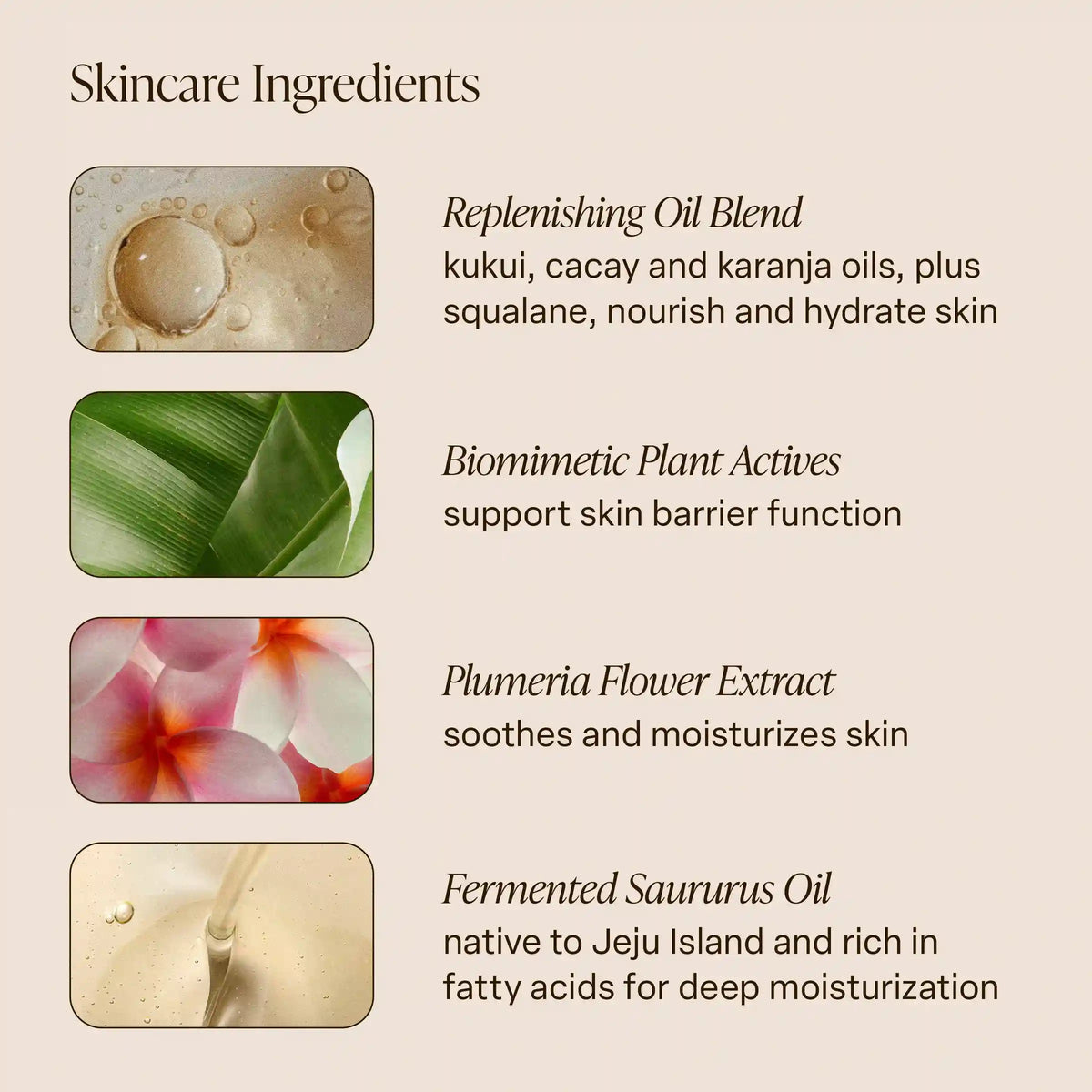 Island Orchid - Body Oil
