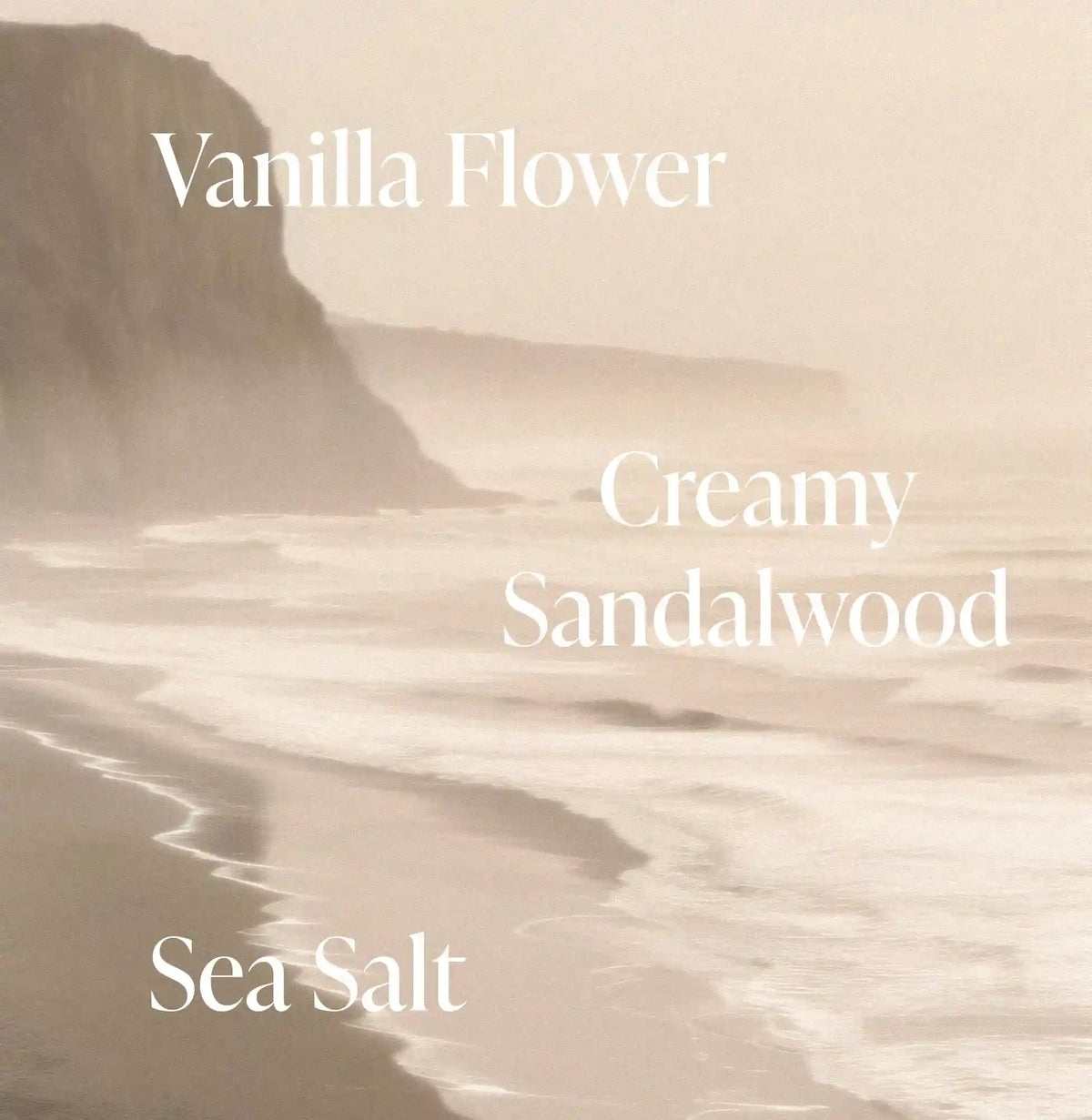 Salt Water Vanilla - Body Duo